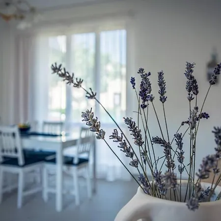 Holiday home Casa Gu Lido di Camaiore